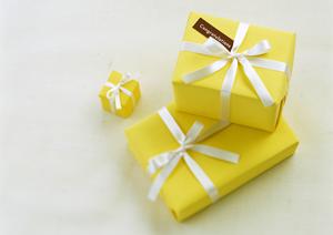 愛犬の健康を守る！ロイヤルカナン療法食の選び方と効果ガイド